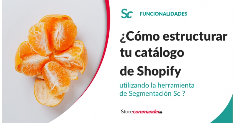 Comment structurer votre catalogue Shopify grâce à l’outil Segmentation Sc ? Comment structurer votre catalogue Shopify grâce à l’outil Segmentation Sc ?